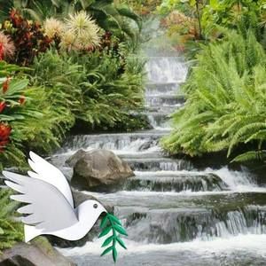 Meet your Posher, Cathy